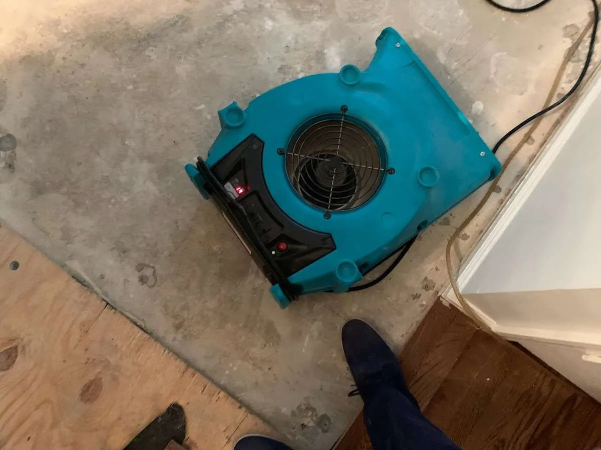 Air mover drying subfloor during Commercial Water Damage Restoration in Calexico